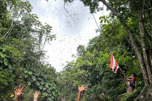 Visite en petit groupe de la forêt tropicale d'El Yunque avec transport