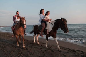 Vieques: Black Sand Beach Horseback Riding Tour