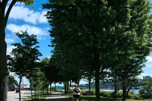 Fahrrad-Panorama-Tour durch Quebec City