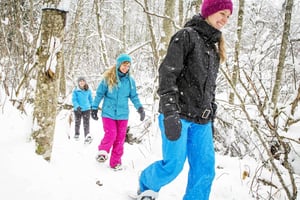 Quebec City: Sneskovandring i Jacques-Cartier National Park