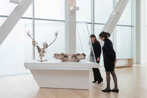 Quebec City: MNBAQ Nationales Museum der Schönen Künste Eintrittskarte