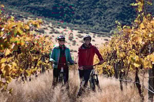 Queenstown: Self-Guided Gibbston Valley Wineries Bike Tour