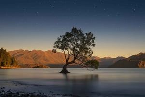 Tour da Franz Josef a Queenstown via Wānaka