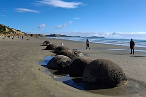 De Dunedin: Excursão privada de um dia ao Monte Cook e ao Lago Pukaki