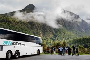 From Queenstown Milford Sound Cruise & Glass-Roof Coach Tour