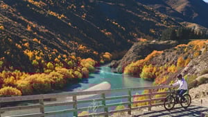 Gibbston Valley Winery Bike Centre