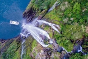 Milford Sound : croisière en petit bateau