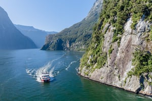 Milford Sound Cruises - Southern Discoveries