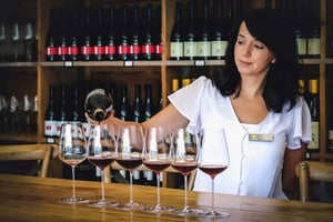 Queenstown: Tour del vino classico