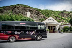 Queenstown & Gibbston Valley: Hop-On Hop-Off Wine Tours