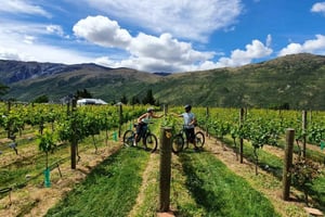 Queenstown: Guided E-Bike Tour with Winery Visits & Tastings
