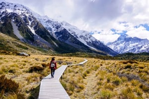 Queenstown: Excursão guiada de um dia ao Mount Cook Premium