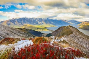 QUEENSTOWN:Private 1 way Airport transfer to/from CBD Hotels