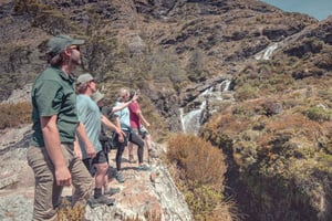 Queenstown: Routeburn Track Guided Full-Day Walk or Half Day