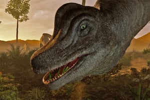 Queenstown: Underwater Theatre Experience Entry Ticket