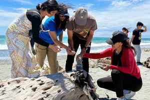 Queenstown til Franz Josef tur med en lille gruppe (envejs)