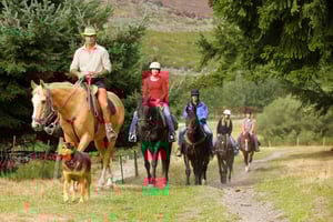 Queenstown: Walter Peak Horse Trek & Queenstown Lake Cruise