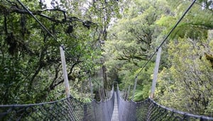 Rakiura National Park
