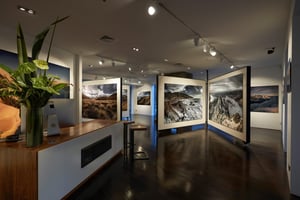 Romer Gallery