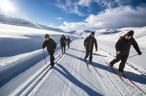Snow Farm New Zealand