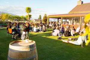 Wooing Tree Vineyard