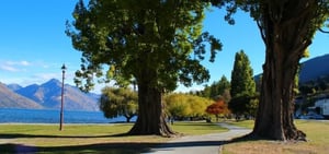 Queenstown Unterkunftsführer