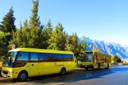 Queenstown Busse