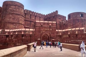 Delhi: 8-Day Royal Cities Tour with Alwar & Wildlife
