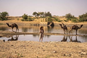 Aavikon kulttuuri-ilta (ei kameliaa): Kalbelia- ja sufi-fuusio