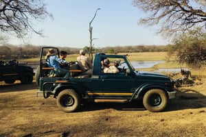 From Agra: 2 Days 1 Night Ranthambore Tiger Safari Tour