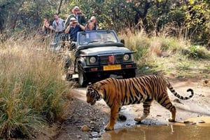 From Delhi: 6-Day Golden Triangle Tour with Ranthambore