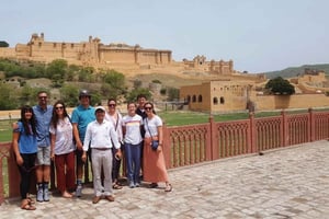 Van Delhi naar Jaipur: Privéreis van één dag met de auto