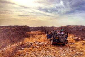 Vanuit Jaipur: privé Ranthambore-tour per Jeep Canter Safari