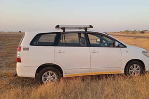 Van Jaipur: Privétransfer naar Ranthambore vanuit Jaipur