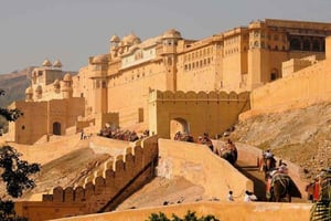 Desde Delhi: Tour privado guiado de un día a Jaipur