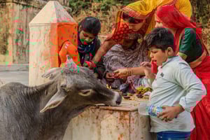 Jaipur: Dagsutflykt med sightseeing med bil och lokal guide