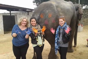 Jaipur: dagtour met olifantendorp en bloemenmarkt