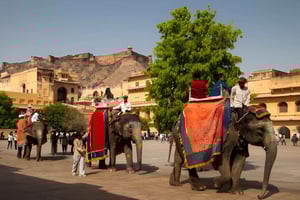 Ganztagestour Jaipur mit Abholung und Rücktransfer in Agra oder Delhi