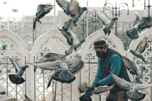 Jaipur: tour privato della città in auto o tuk-tuk