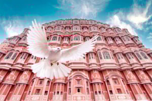 Jaipur: Privat dagsutflykt med kvinnlig guide