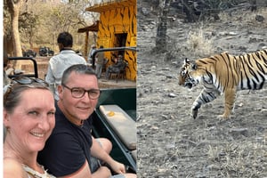Jaipur: Ranthambore National Park Same-Day Tour With Meals