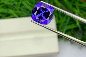 Jaipur: wycieczka krajoznawcza + spacer + jedzenie + przejażdżka na słoniu