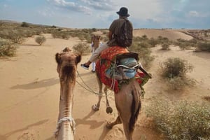 L'expérience James Desert