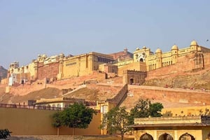 Jodhpur byrundtur i privat bil med guide