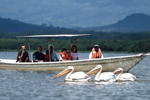 Kota: Privat stadstur med upphämtning på hotellet