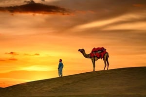 ラクダ乗りと星空観察付きのタール砂漠一泊サファリ