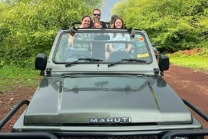 Ranthambore Tiger Safari Tagestour ab Jaipur - All Inclusive