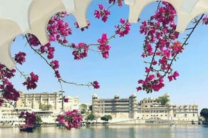 Udaipur: Lake Pichola Boat Ride with Hotel Pickup