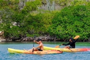 2-godzinna wycieczka kajakiem po Curacao