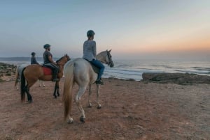 Algarve: Reitende Strandtour bei Sonnenuntergang oder am Morgen